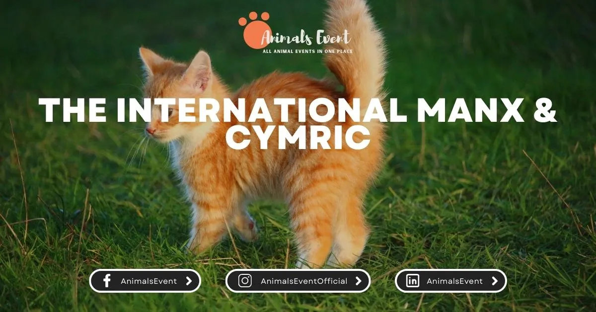 The International Manx & Cymric