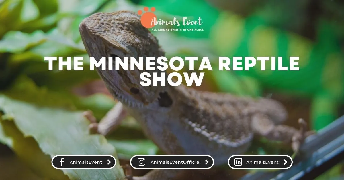 The Minnesota Reptile Show