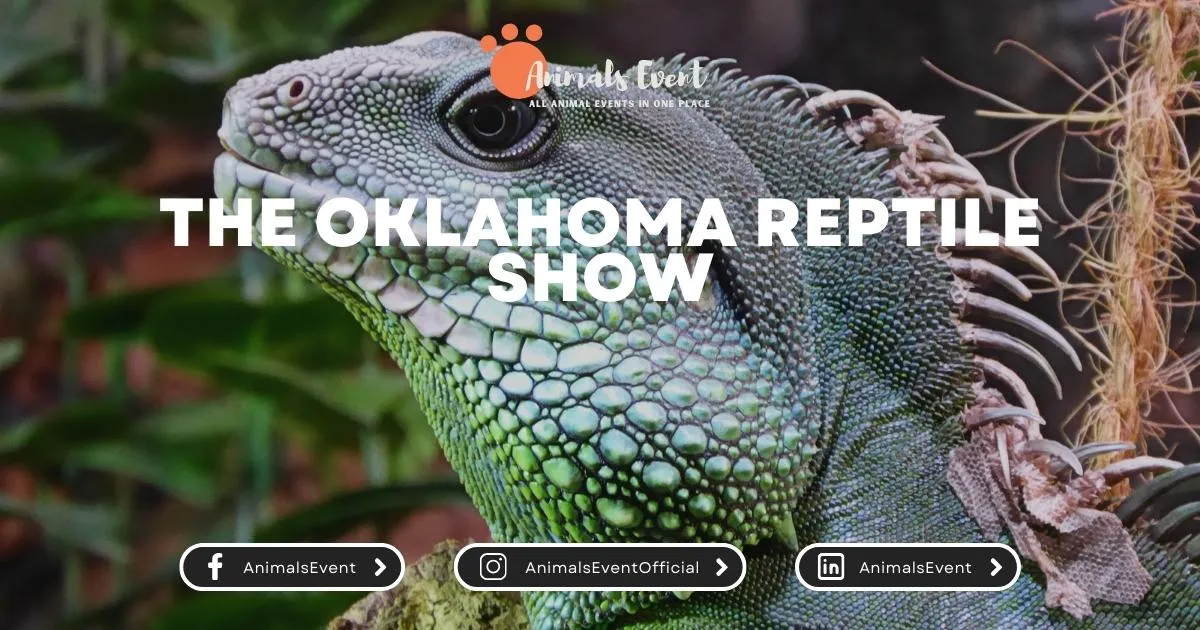 The Oklahoma Reptile Show