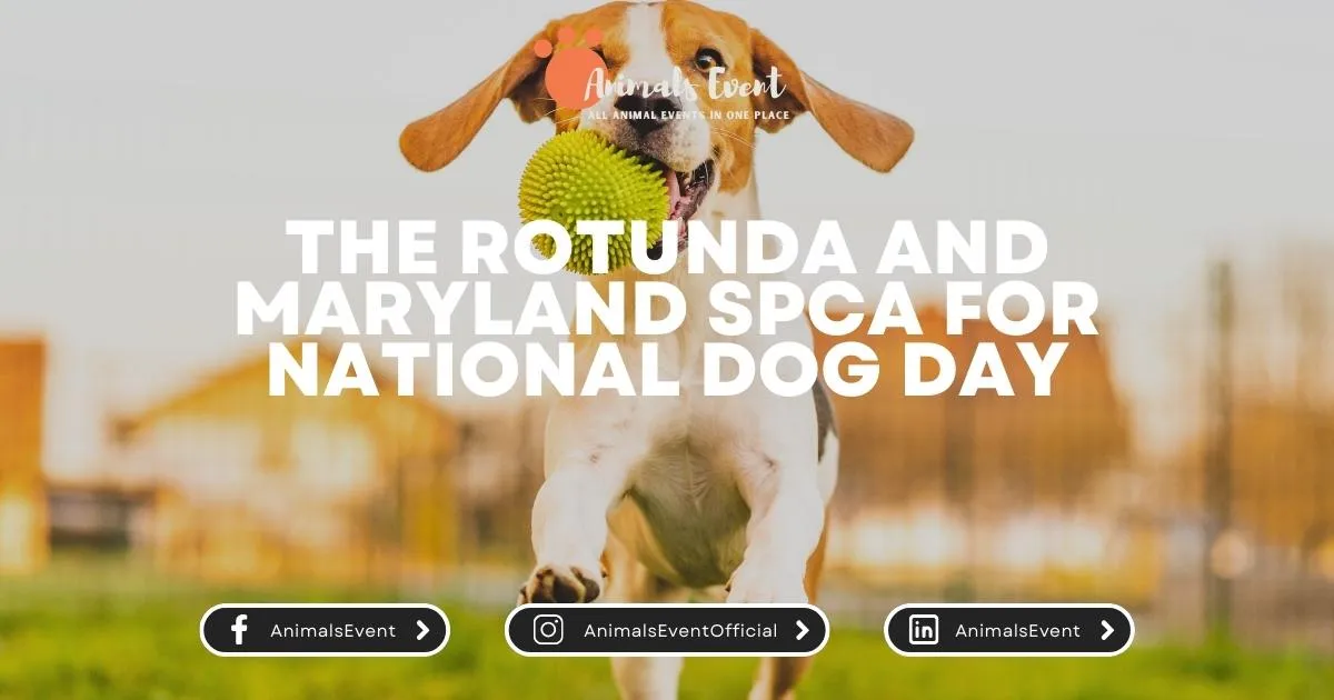 The Rotunda and Maryland SPCA for National Dog Day