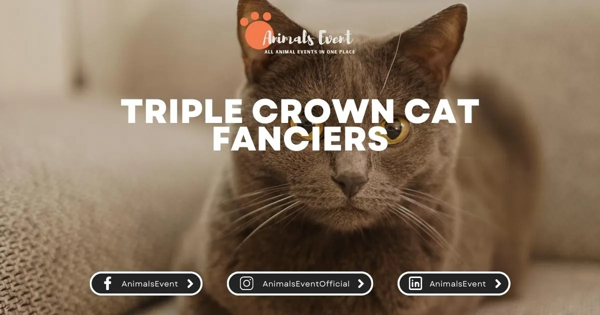 Triple Crown Cat Fanciers