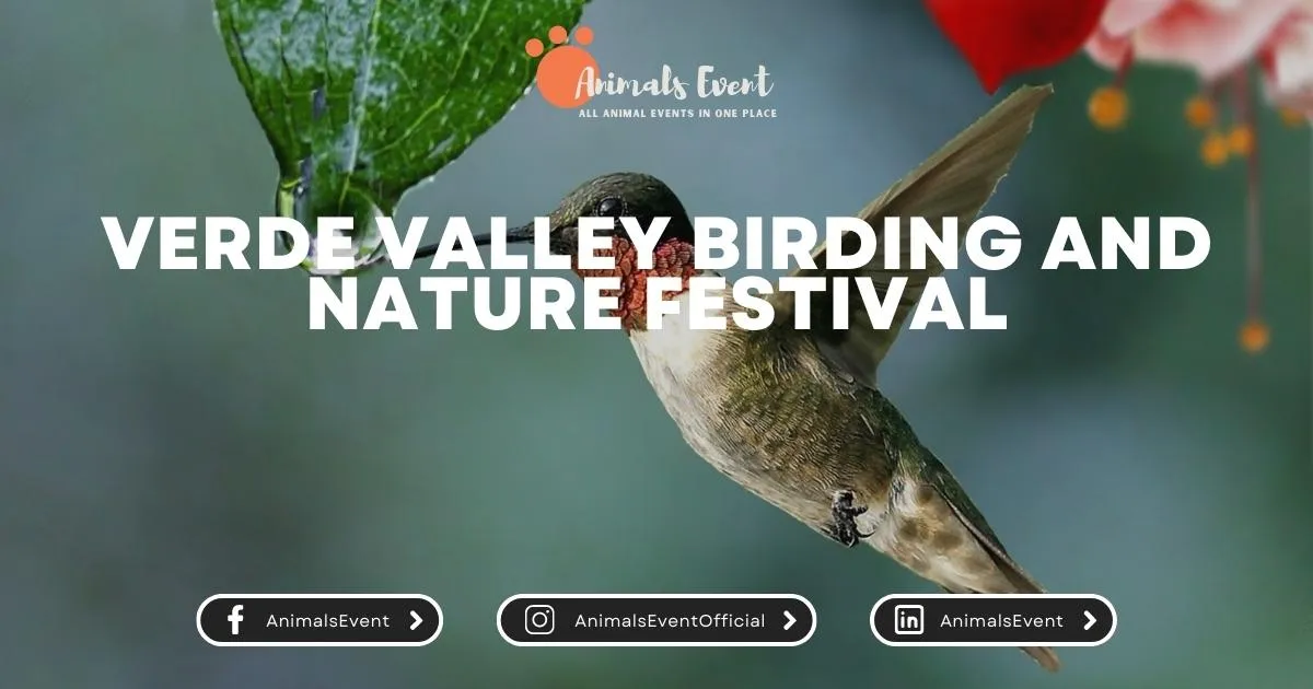 Verde Valley Birding And Nature Festival