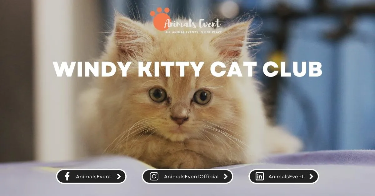 Windy Kitty Cat Club