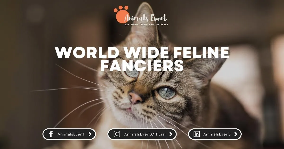 World Wide Feline Fanciers