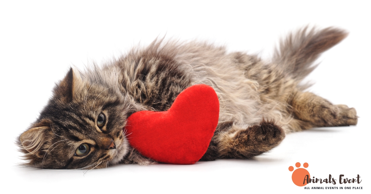 How Big is a Cat’s Heart_ Understanding Size, Function, and Health Factors